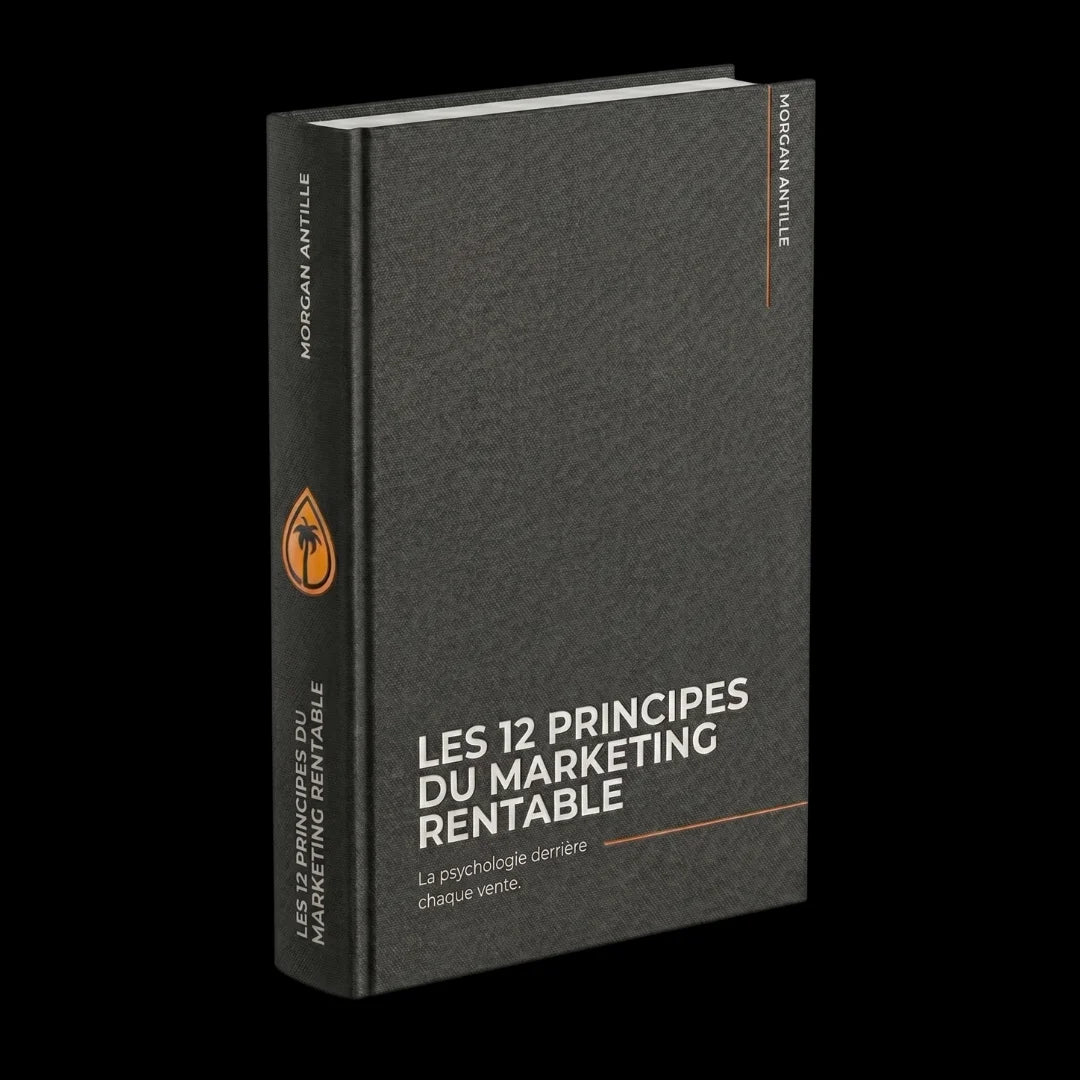 LES 12 PRINCIPES DU MARKETING RENTABLE
